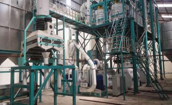 maize mill plant