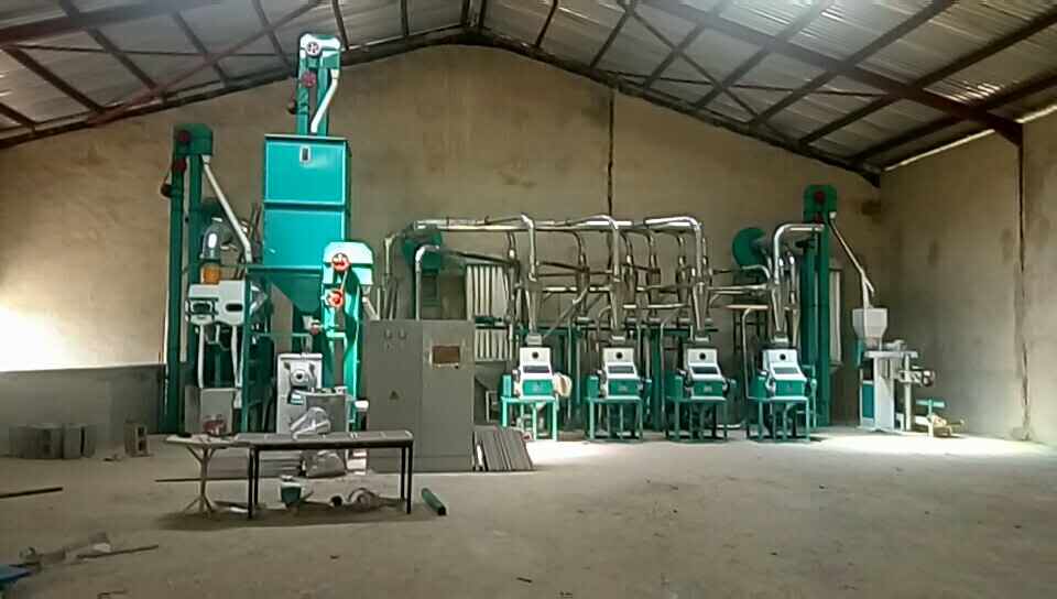 220TPD Wheat flour mill installing in Africa now