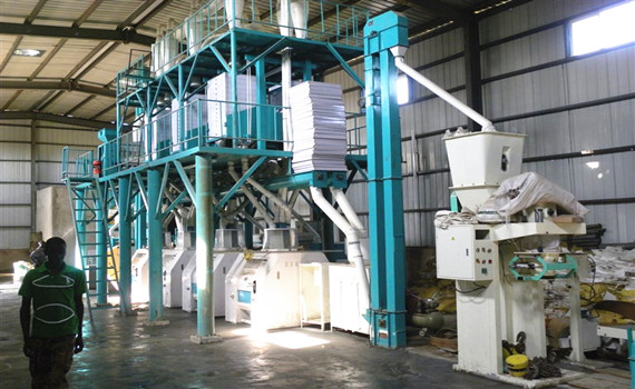 maize mill 50T