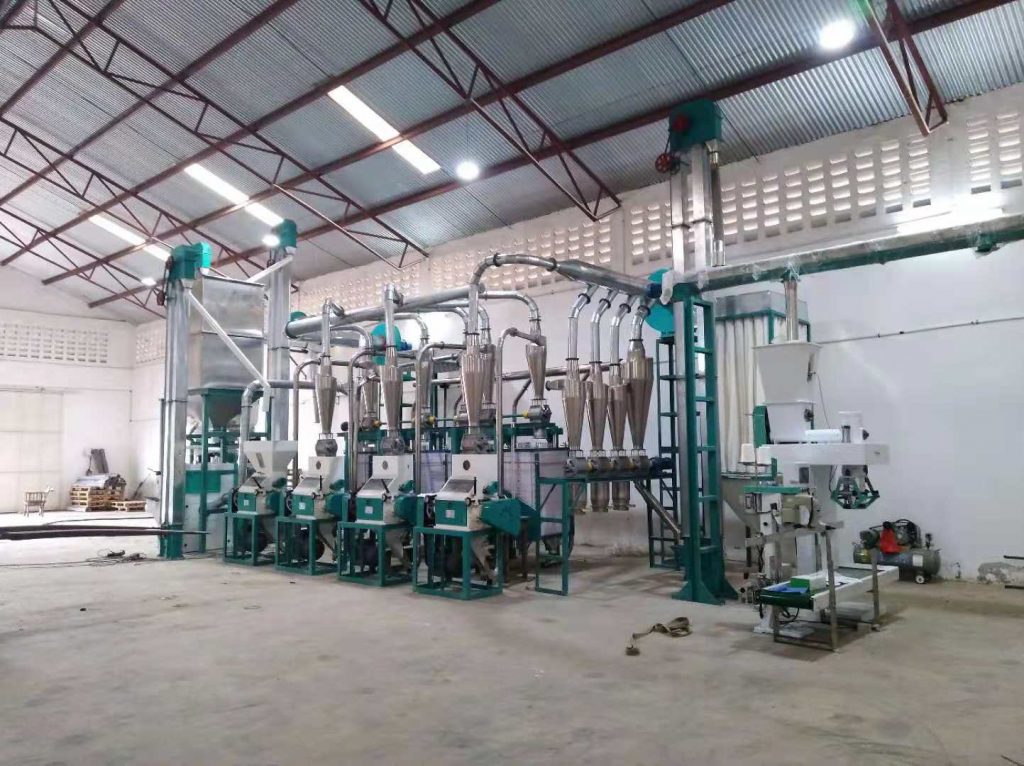 30t maize mill with auto packing machine