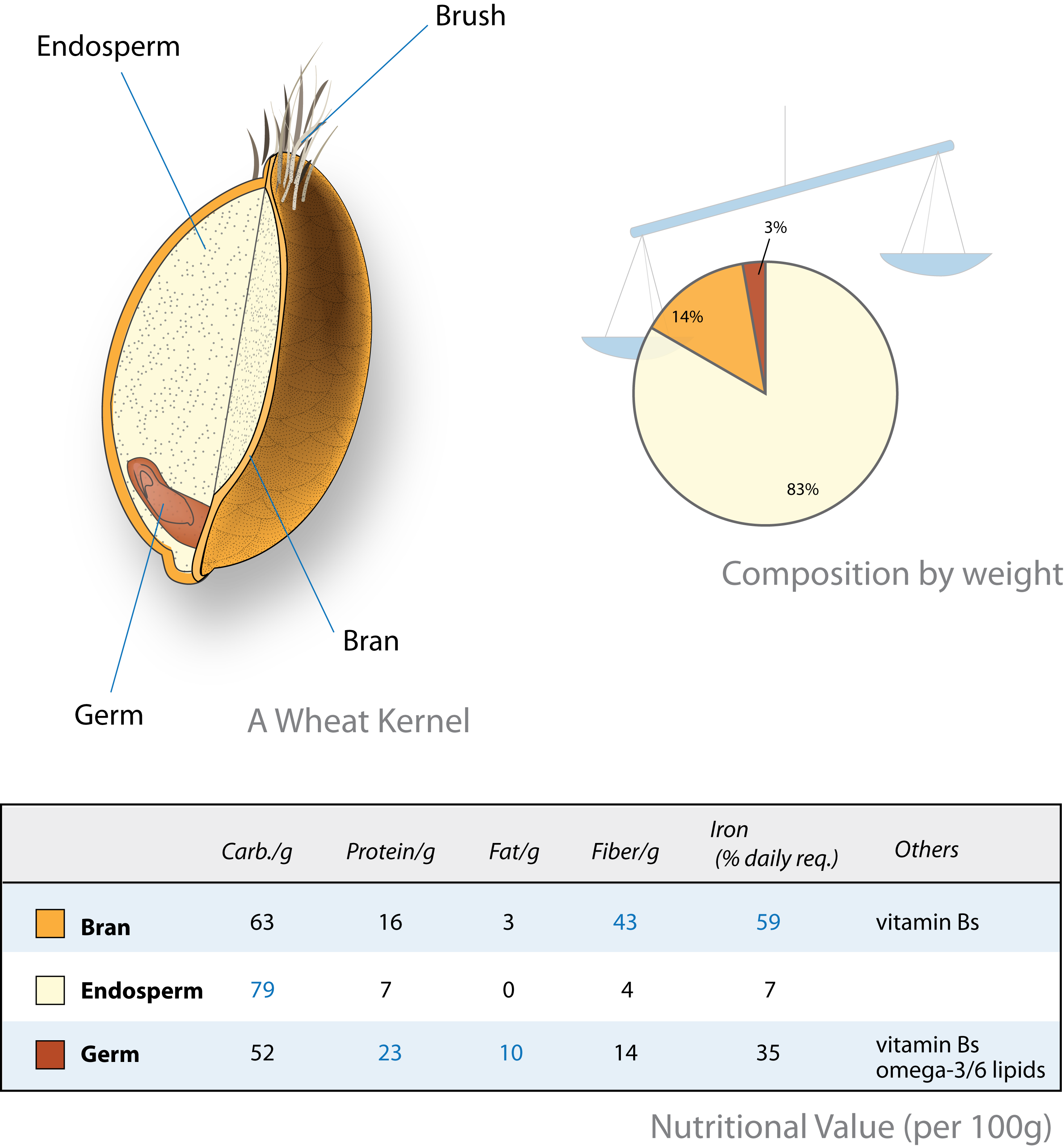 wheat-kernel_nutrition