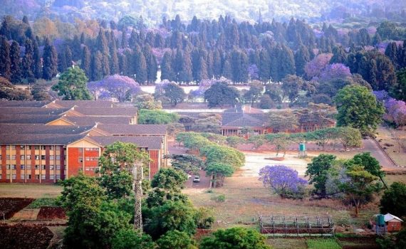 Zimbabwe