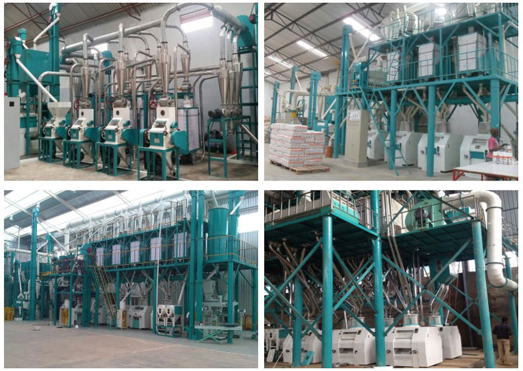 5 installed flour mill