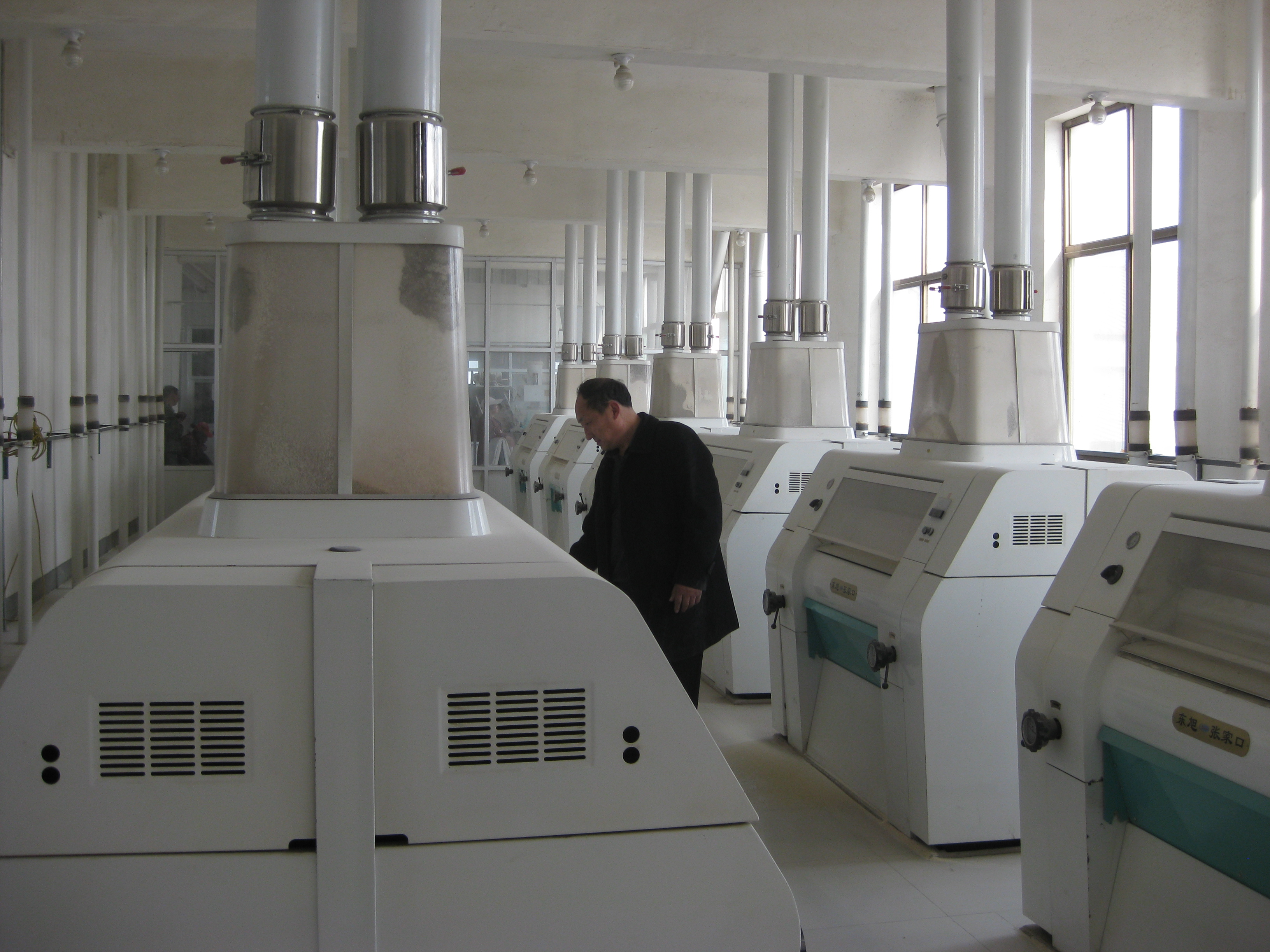 installation of the 200T wheat flour grinding mill project