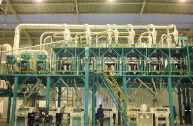 100t/24hrs maize mill plant in South Africa