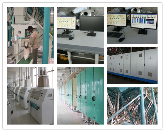 120T/24H wheat flour mill line installed in Zimbabwe designed by Hongdefa