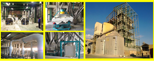 1500t/24hrs maize mill plant in South Africa