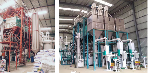150t/24hrs maize mill plant in Zambia 240t/24hrs maize mill plant in Angola