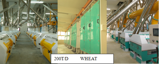 200T/24h wheat flour mill machine in Egypt