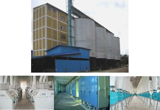 500T/24H wheat flour mill in Ethiopia