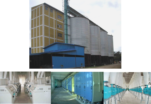  500T/24H wheat flour mill in Ethiopia