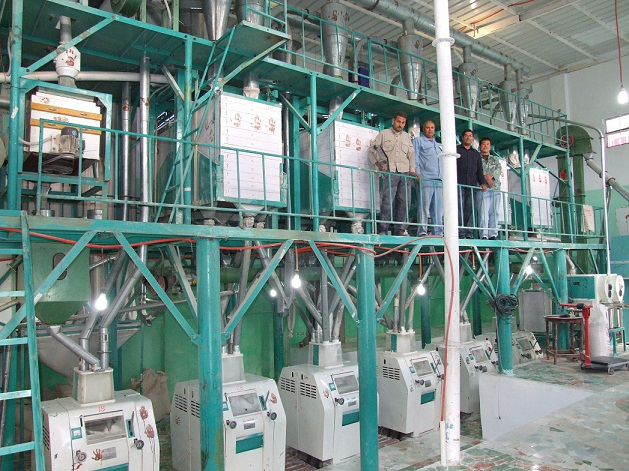  60T/24h wheat flour mill machine in Egypt