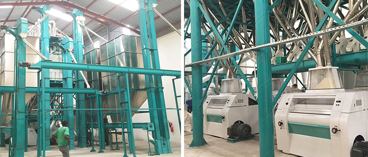 8.Maize milling machine in Hongdefa factroy