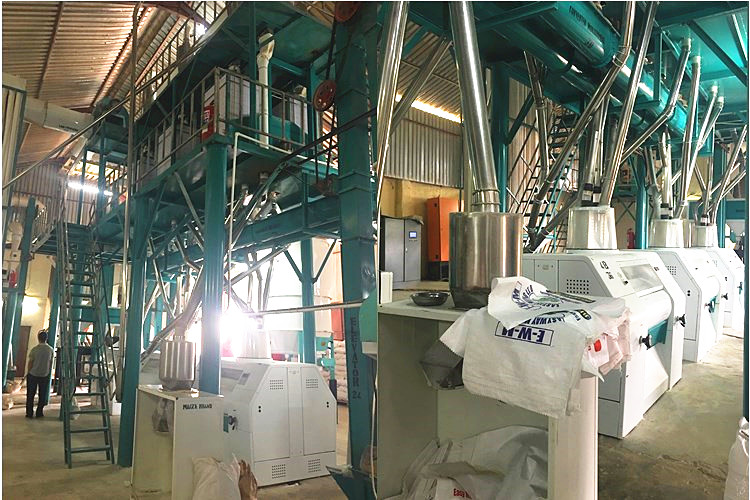 220TPD Wheat flour mill installing in Africa now
