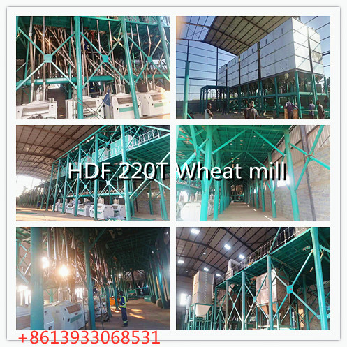 220Tons/24hours wheat flour mill installing in Zambia now 