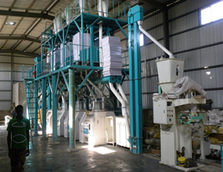 50tpd maize milling machine