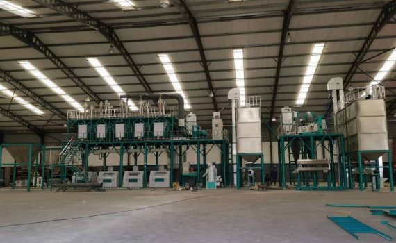 100T maize mill in Mozambique