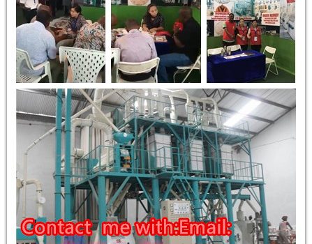 maize milling machine for sale