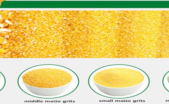 final maize products