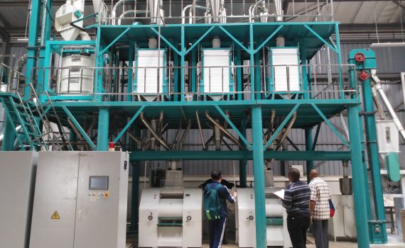 50T maize flour mill in Thika Kenya