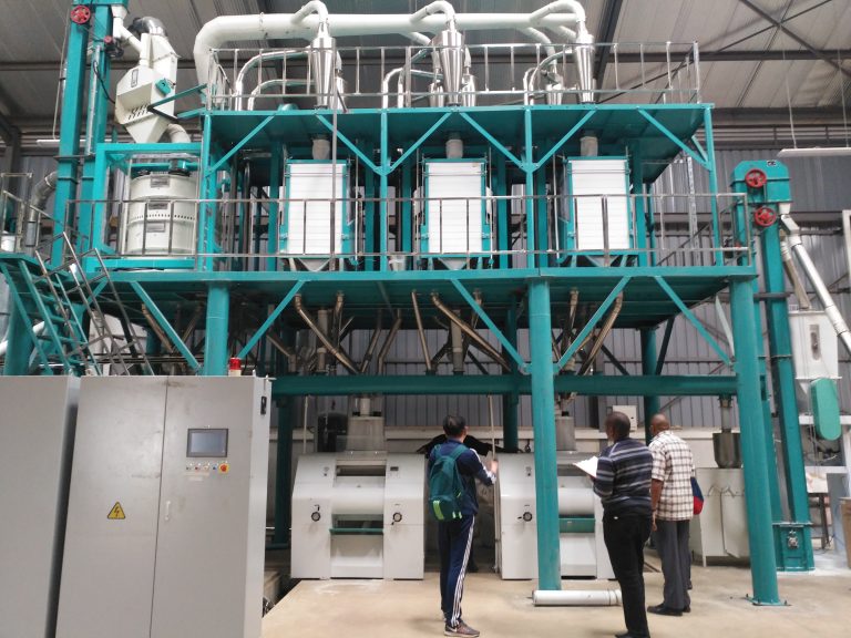our team in Kenya now for maize wheat mill business maize mill wheat